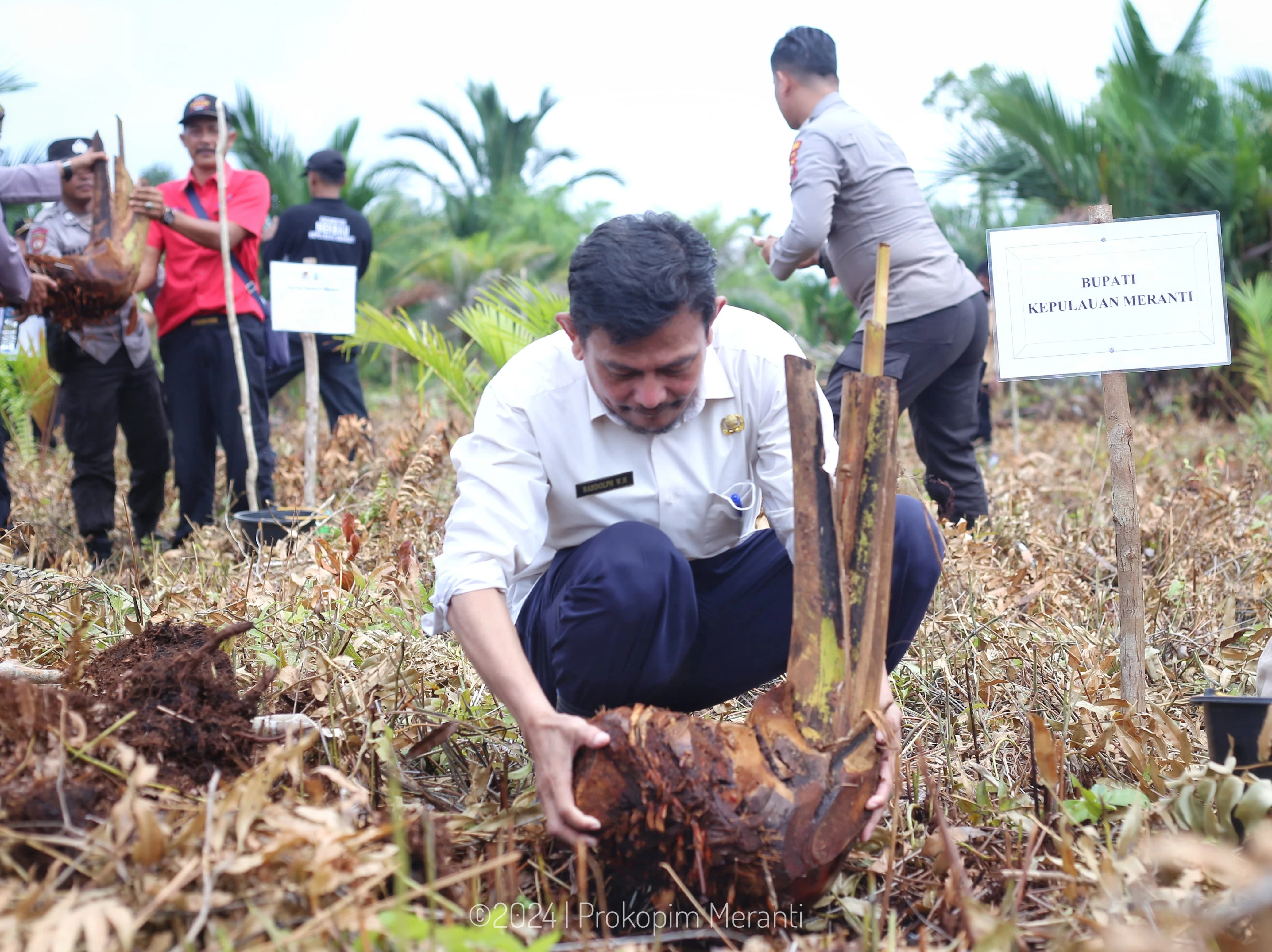 Penanaman Pohon Serentak Seluruh Indonesia Pemkab Meranti Pusatkan Di Kecamatan Merbau