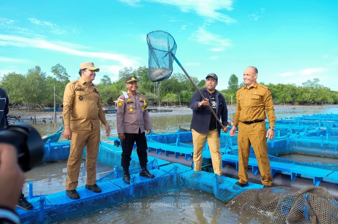 Pjs. Bupati meninjau tambak ikan siakap di Desa Sialang Pasung