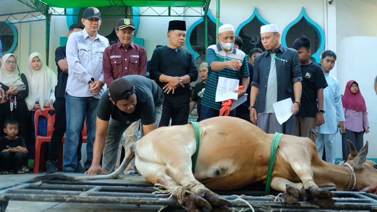 Bupati Meranti H. Asmar saat menyasikan proses pemotongan hewan qurban